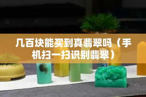 几百块能买到真翡翠吗（手机扫一扫识别翡翠）