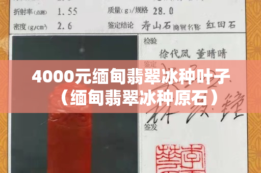 4000元缅甸翡翠冰种叶子（缅甸翡翠冰种原石）