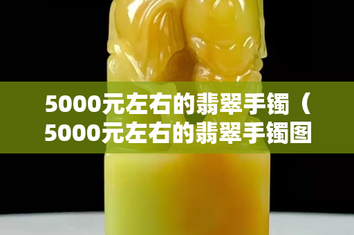 5000元左右的翡翠手镯（5000元左右的翡翠手镯图片）