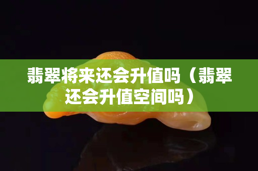 翡翠将来还会升值吗（翡翠还会升值空间吗）