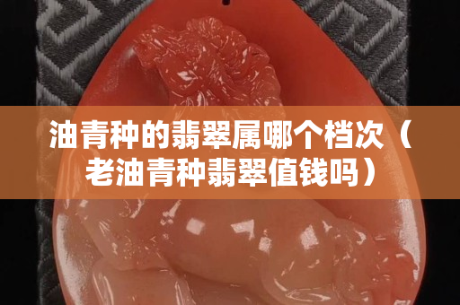 油青种的翡翠属哪个档次（老油青种翡翠值钱吗）