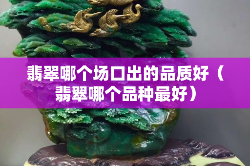 翡翠哪个场口出的品质好（翡翠哪个品种最好）