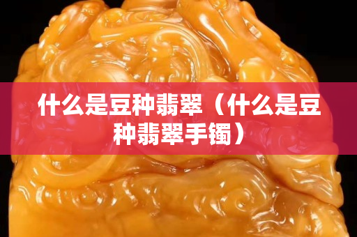 什么是豆种翡翠（什么是豆种翡翠手镯）