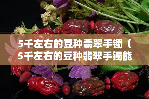 5千左右的豆种翡翠手镯（5千左右的豆种翡翠手镯能买吗）