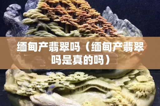 缅甸产翡翠吗（缅甸产翡翠吗是真的吗）