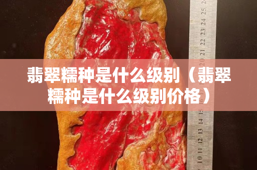 翡翠糯种是什么级别（翡翠糯种是什么级别价格）