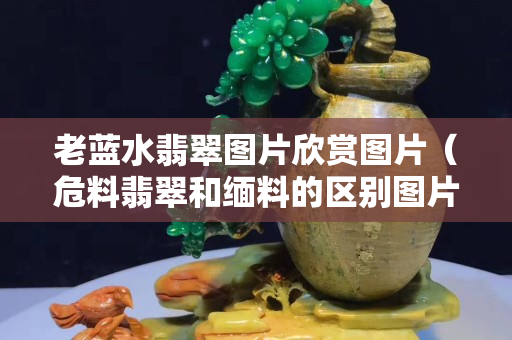 老蓝水翡翠图片欣赏图片（危料翡翠和缅料的区别图片）