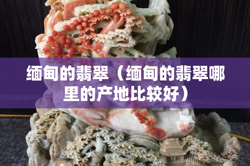 缅甸的翡翠（缅甸的翡翠哪里的产地比较好）