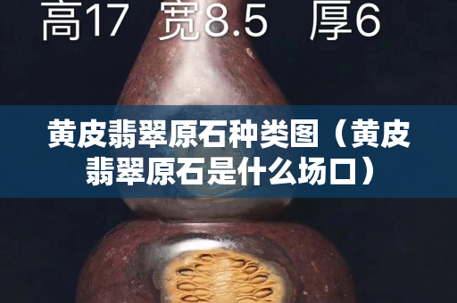 黄皮翡翠原石种类图（黄皮翡翠原石是什么场口）