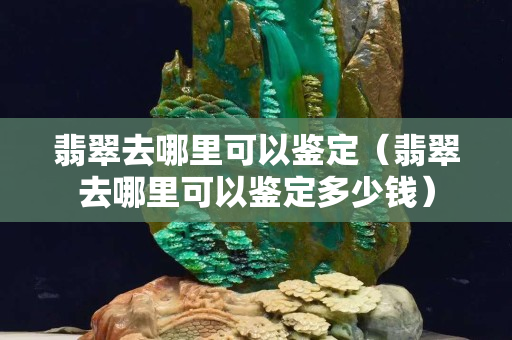 翡翠去哪里可以鉴定（翡翠去哪里可以鉴定多少钱）