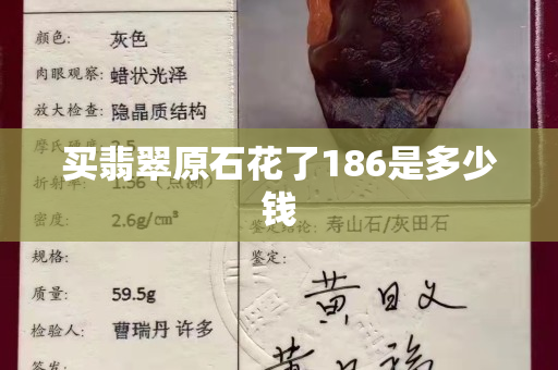 买翡翠原石花了186是多少钱