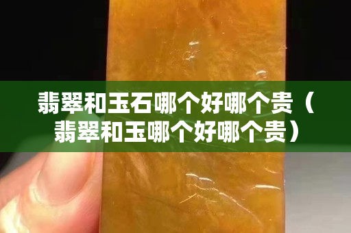 翡翠和玉石哪个好哪个贵（翡翠和玉哪个好哪个贵）