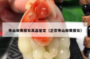 寿山田黄原石真品鉴定（正宗寿山田黄原石）